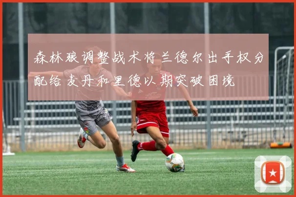森林狼调整战术将兰德尔出手权分配给麦丹和里德以期突破困境