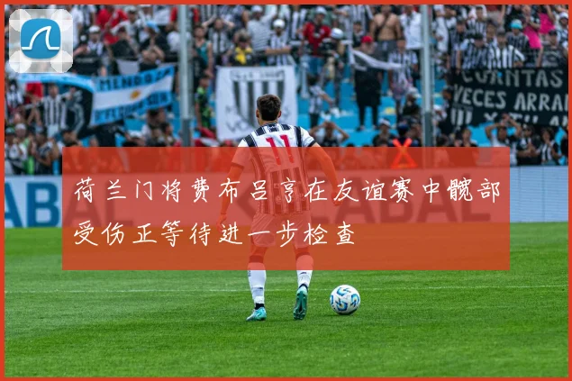 荷兰门将费布吕亨在友谊赛中髋部受伤正等待进一步检查