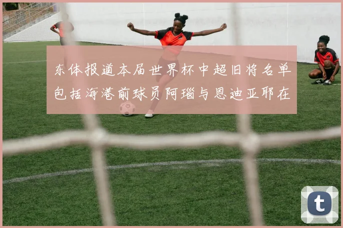 东体报道本届世界杯中超旧将名单包括海港前球员阿瑙与恩迪亚耶在内的10位球员